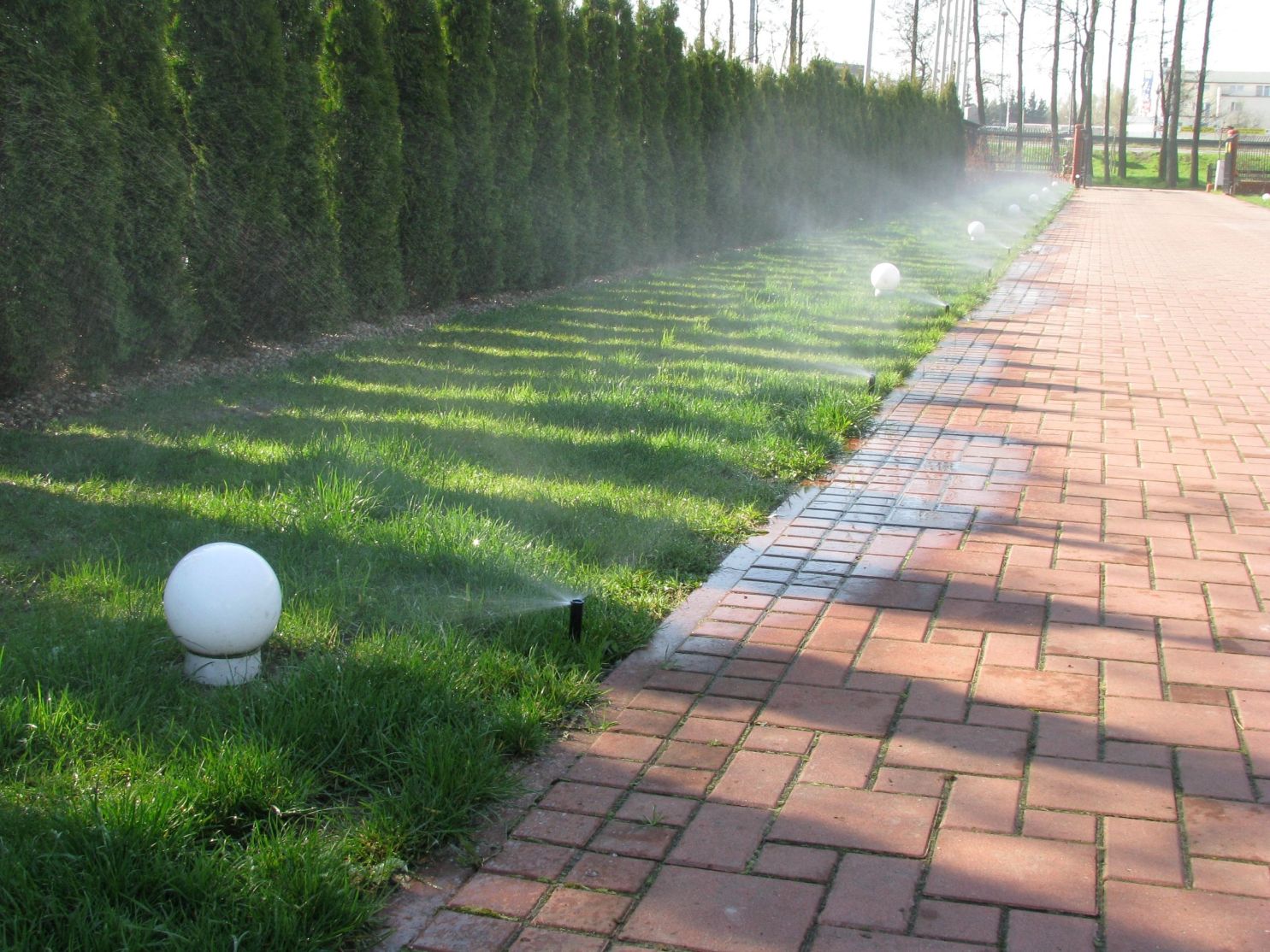 Automatyczne nawadnianie ogrodu