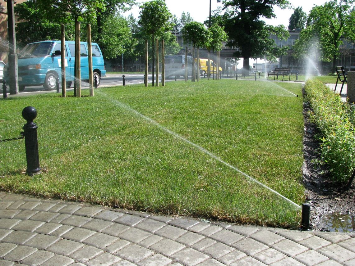 Linia kroplująca pod nasadzeniami