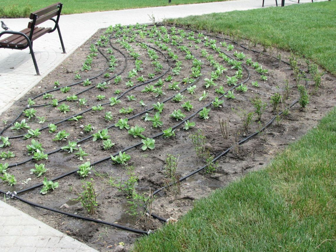 Instalacja zraszaczy wynurzalnych