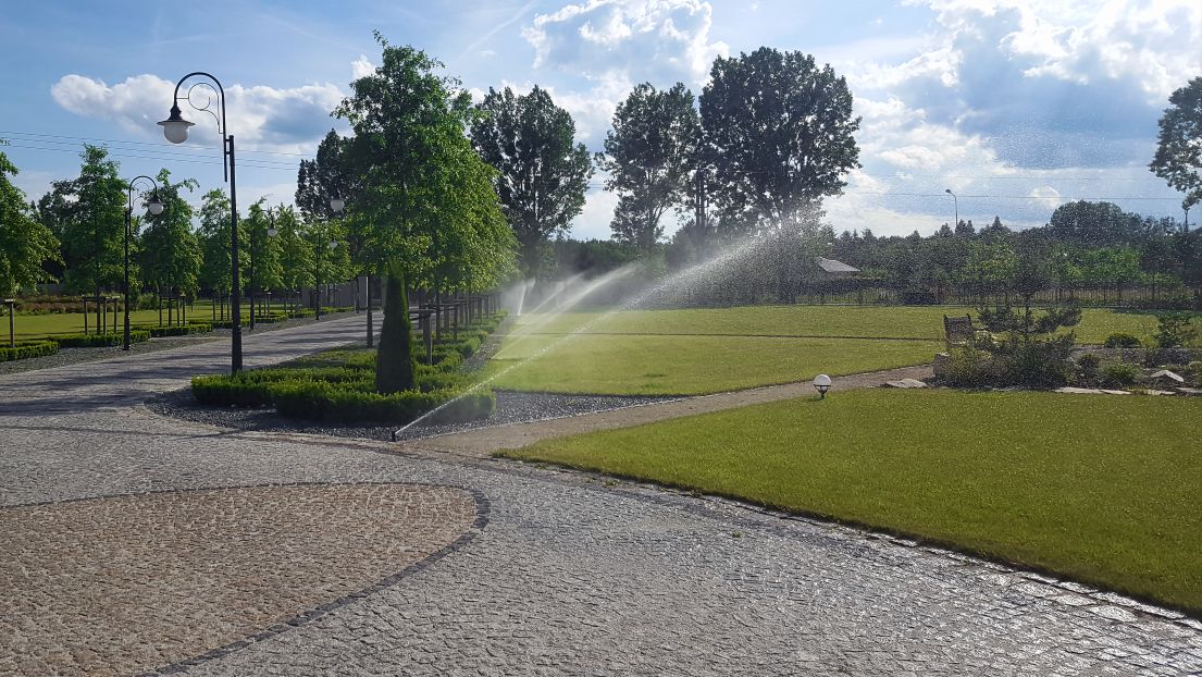 Nasadzenia roślinne