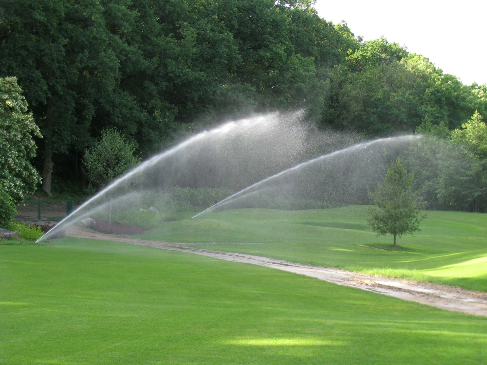 Aranżacja ogrodu 03